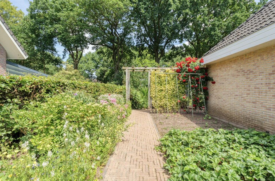 Plataan 3 COEVORDEN