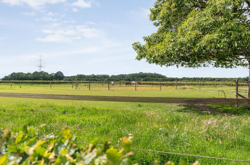 Rieweg 1 WACHTUM
