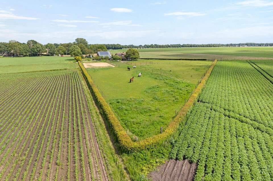 Rieweg 1 WACHTUM