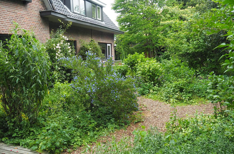 van Heutszpark 3 COEVORDEN