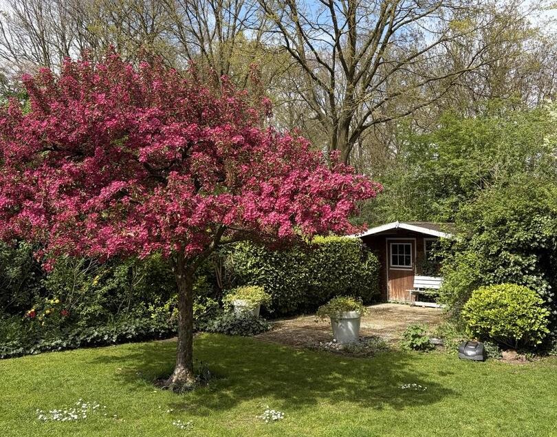 Zende 11 OOSTERHESSELEN