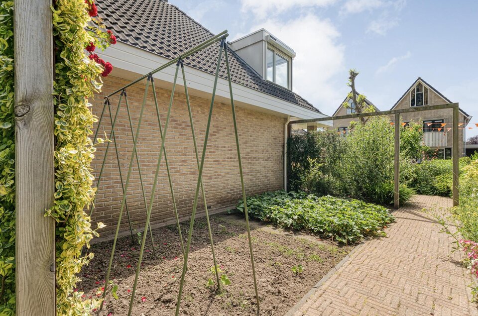 Plataan 3 COEVORDEN