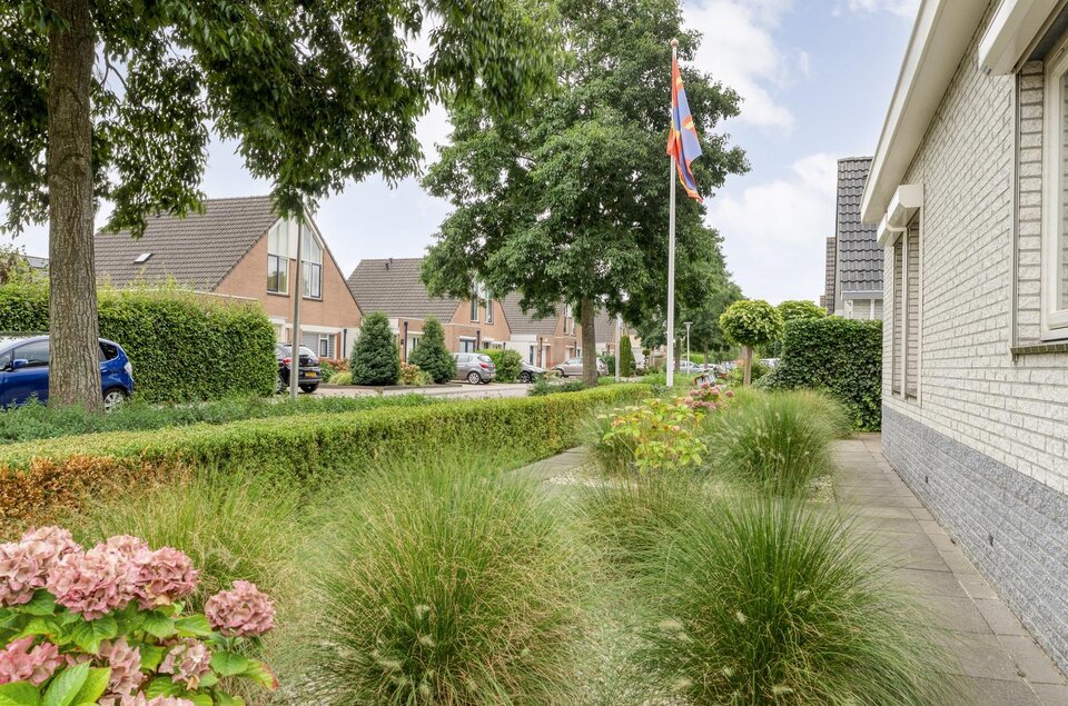 Liguster 22 COEVORDEN