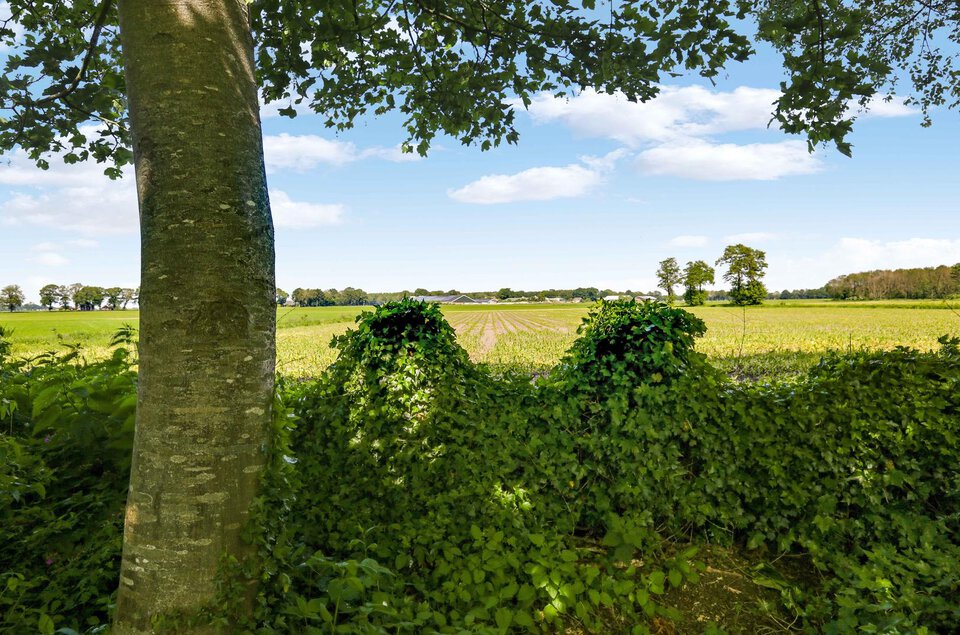 Brinkweg 9 ZWINDEREN